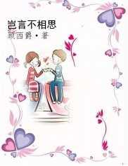 岂言不相思封面