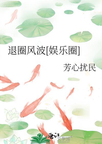 退圈风波娱乐圈txt封面