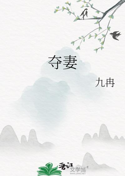 夺妻封面