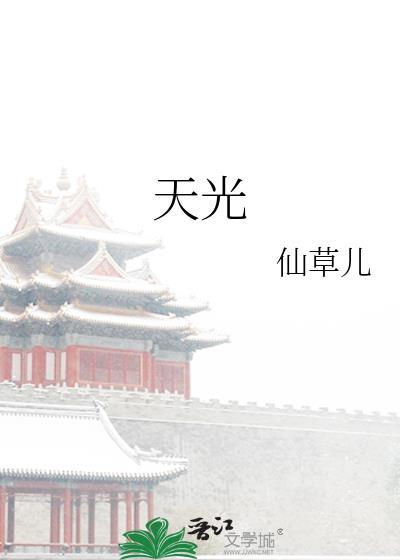 天光大亮封面