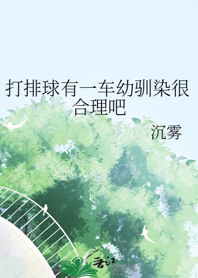 排球打到车上封面