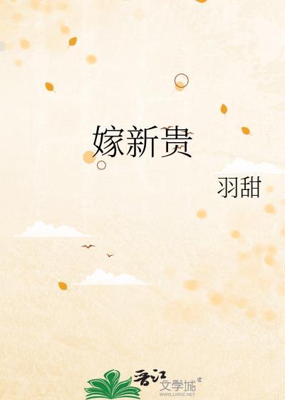 嫁新贵txt意己封面