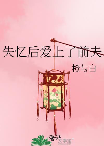 失忆后爱上了前夫封面