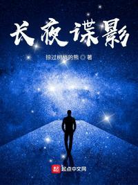 长夜谍影封面
