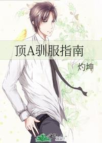 顶A驯服指南封面
