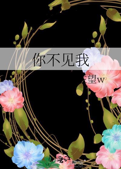 你不见我封面