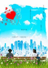 契约恋人电视剧免费观看封面