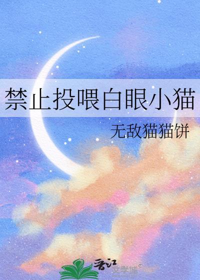 禁止投喂白眼小猫封面