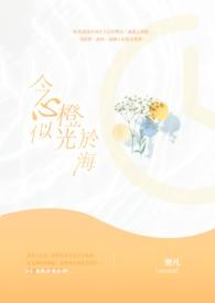 今心似橙光于海封面