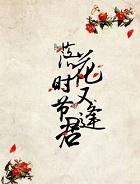 落花时节又逢君封面