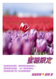 蜜糖限定封面