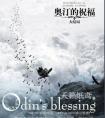 奥汀的祝福by天籁纸鸢封面