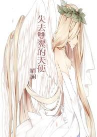 失去双翼的天使封面