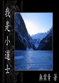 我是一名小道士封面