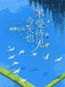 今天也不受待见封面