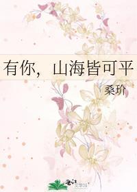 有你山海皆可平桑玠后记封面