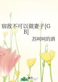 宿敌不可以做妻子[GB封面