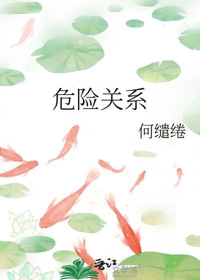 危险关系封面