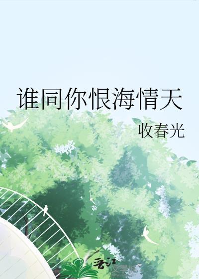 谁同你恨海情天txt百度封面