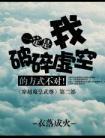 一定是我破碎虚空的方式不对 衣落成火封面