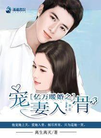 亿万暖婚之爱妻入骨封面