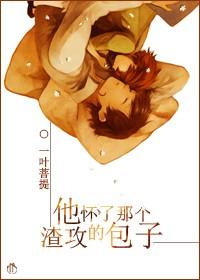 他怀了那个渣攻的包子by一叶菩提封面