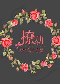 撩动他心全文免费阅读无弹窗封面