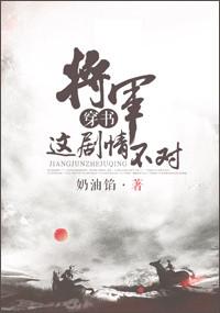 将军这剧情不对txt资源封面