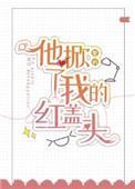 他掀了我的红盖头txt百度封面