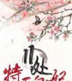 11处特工皇妃（特工皇妃楚乔传）封面