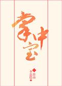 掌中宝封面