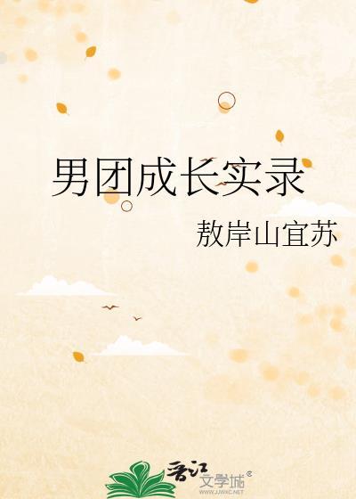 男团成长实录封面