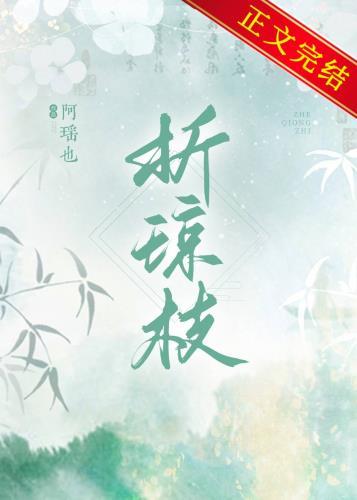 折琼枝封面