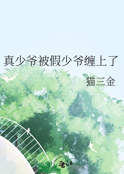 真少爷被假少爷缠上了封面