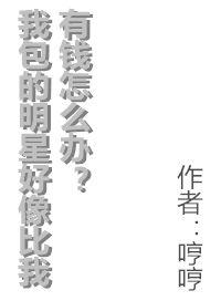 我包的明星好像比我有钱怎么办封面