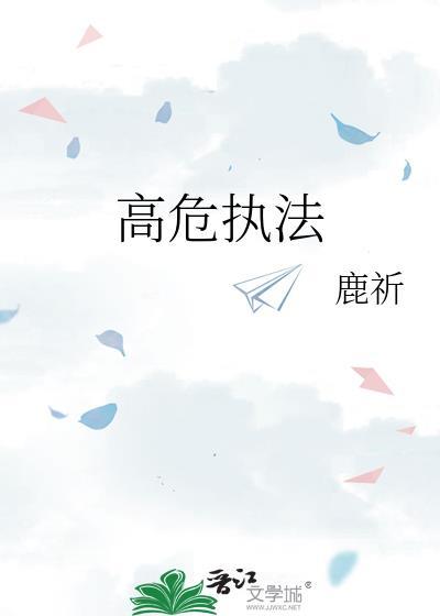 高危执法封面