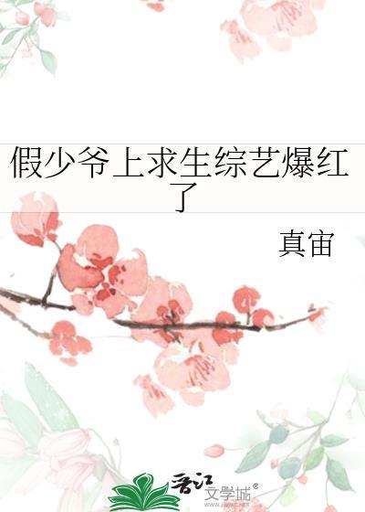 美貌是长久之计 墨九言封面