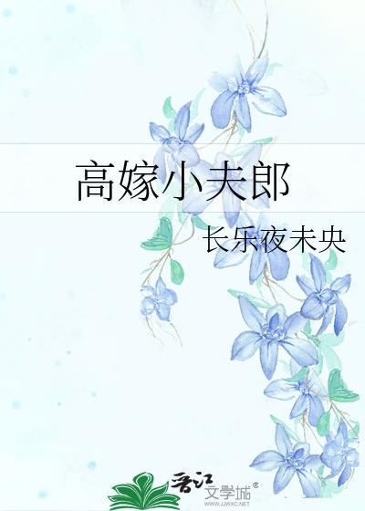 高嫁小夫郎封面
