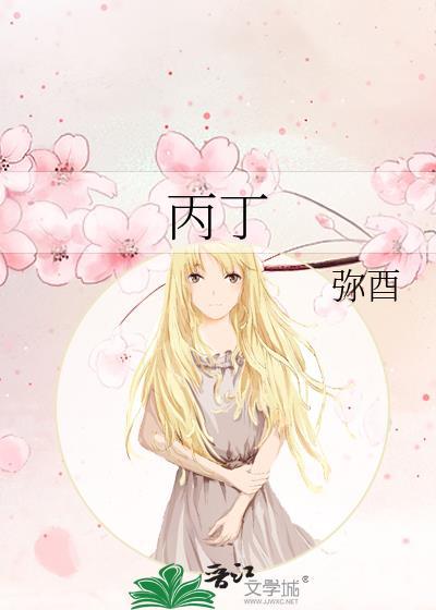 丙丁戊己庚辛壬癸甲乙丙丁封面