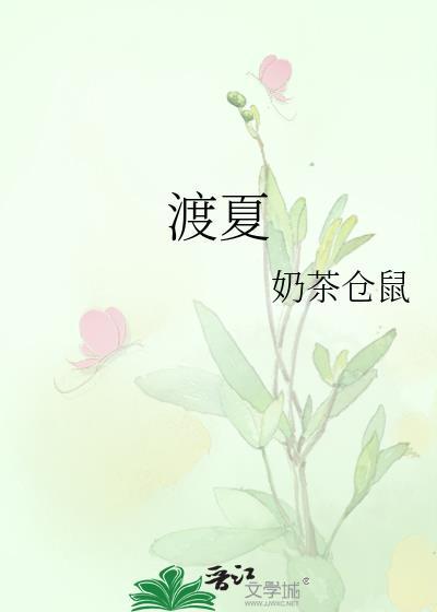 渡夏封面