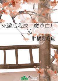 死遁后我成了魔尊白月光封面