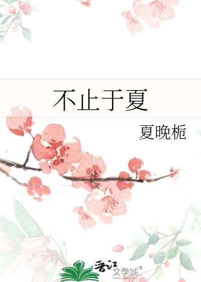 不止于夏封面