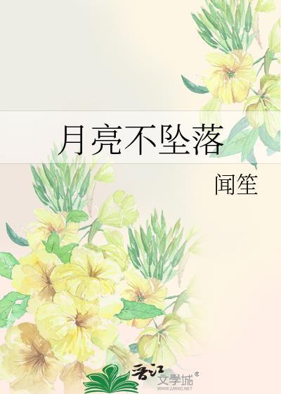 月亮不坠落by闻笙TXT封面